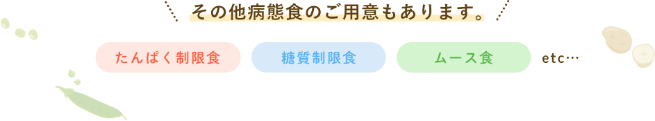 その他病態食のご用意もあります。 たんぱく制限食 糖質制限食 ムース食 etc...